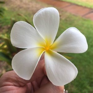 Meet your Posher, Adrienne